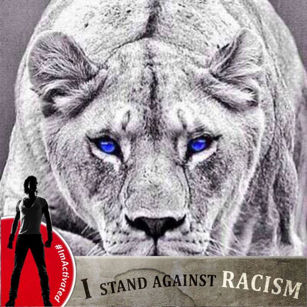 Meet your Posher, Todd